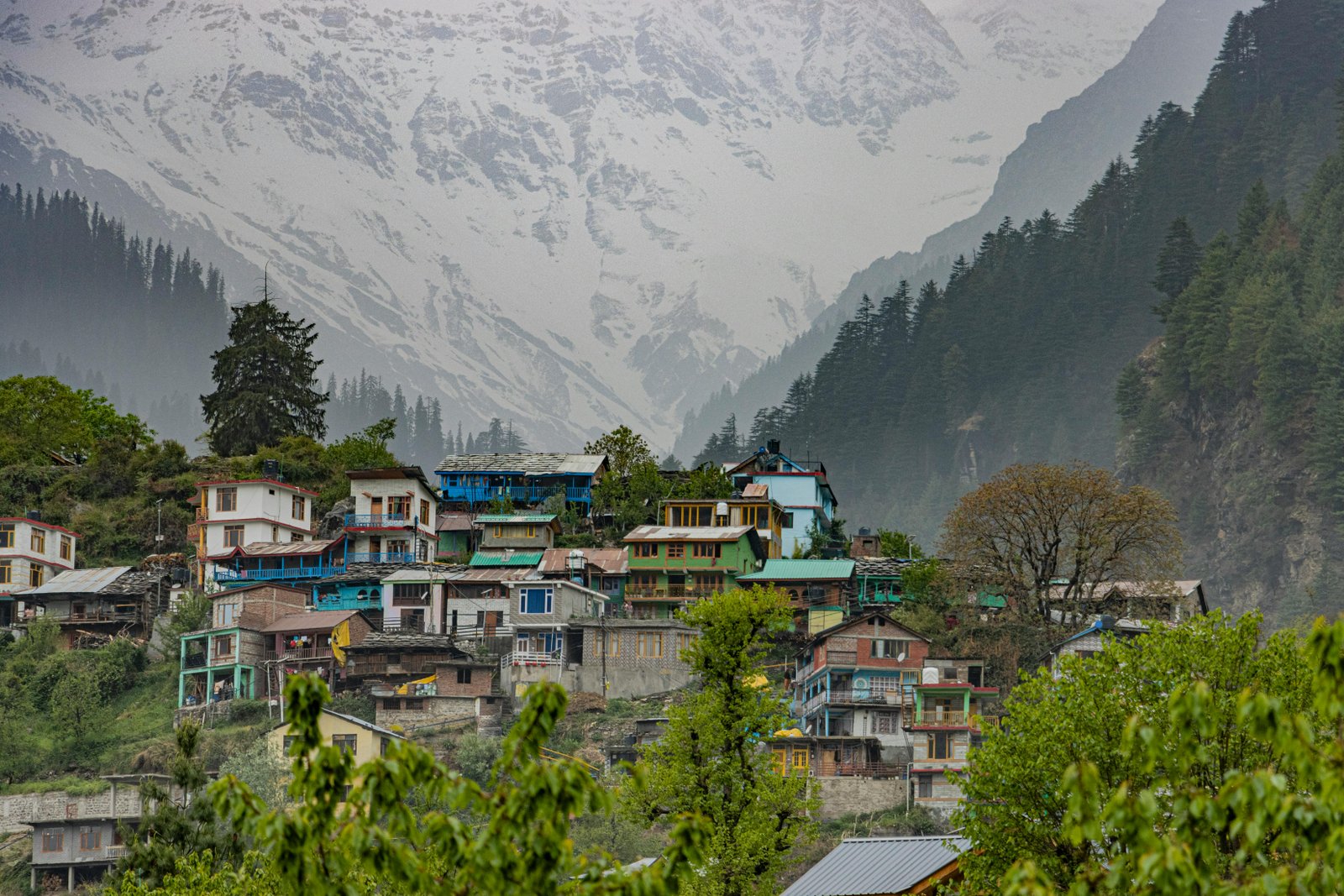 Shimla Kasol Manali Tour from Chandigarh